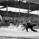Illustration for article titled Wrigley Field Mural Depicts Scene From Comiskey Park